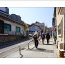 바위솔타운 이미지