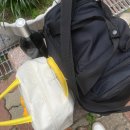 NR-3[동일로]-하-103 | 25년 10월 일기