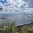 성산한우목장 이미지