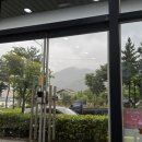 병아리김밥 화전점 네이버블로그