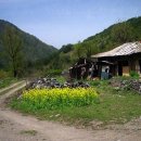 유정천리 이미지