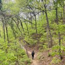 원주굽이길 1코스 가마바우길 이미지