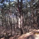 안동여자중학교 이미지