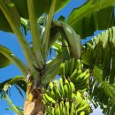 동화천자전거길 이미지