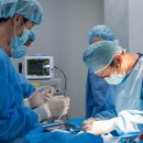 석 동물병원 이미지