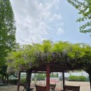 신월주민운동장 이미지