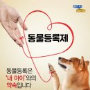 마리동물의료센터 이미지