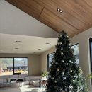 풀스테이스테이펫홍천 이미지