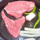 광주맛집 소신식당 | 광주 금남로 소고기맛집 송년회 모임 장소 소신식당 추천