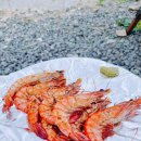 수정관광농원 | 창원 휴양림오토캠핑장 수정관광농원 장박 후기 1부