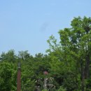 바람개비 이미지