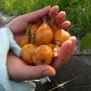 비파경로당 이미지