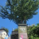 논골공영주차장 이미지