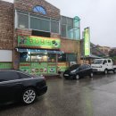 지존반점 이미지