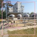 건축학개론 소극장 이미지