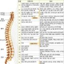 머리가 저린증상 이미지