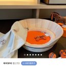 명품애견 이미지