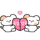 할로아 이미지