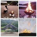 강촌포도팬션&캠핑장 이미지