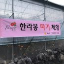 스테이 르브아 이미지