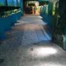 다누리센터 아쿠아리움 이미지