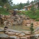 용봉산 자연휴양림 Daum카페