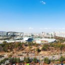 명품스포츠 - 세종특별자치시 갈매로 353 | 명품스포츠