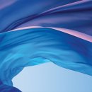 동선태극권 이미지