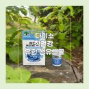 유한패키지 | 다이소 유산균, 5,000원에 시작하는 장건강 루틴 (유한양행 프로바이오틱스 후기)