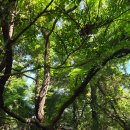 오늘도제주 이미지