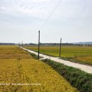 바바벨리 이미지