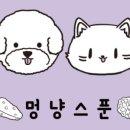 멍냥스푼 이미지