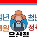가빈과일&장봐주는언니 네이버블로그