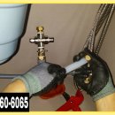 거북이당구장 이미지