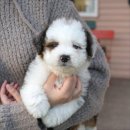 유어라운지 이미지