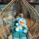 순덕축산 | 사진과 함께 보는 2~3월 댕주일상