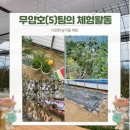 포시즌농원