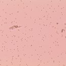 키다리동물병원 이미지