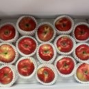 햇터농장 이미지