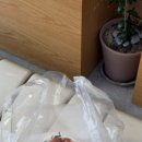 방배천로6길 3-4 (1) 이미지