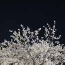 신반포로45길 88 이미지