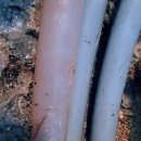 선비의료기 이미지