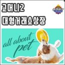 메타펫 주식회사 | 고머니2(GOM2) 대형거래소 COMMING SOON! 디파이 플랫폼 머니스왑