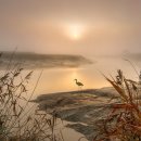 행정사법인 지음 이미지