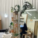 소담 살롱 이미지