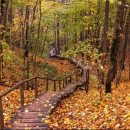 (주)라쿤소프트 이미지