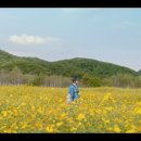 지에스(GS)25 경산옥산공원점 | 은애하는 도적님아 촬영지 23곳을 알려드립니다.