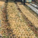 고랑정미소 이미지