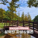 풍성자동차정비 | 설악산자생식물원 강원도 가을여행지 추천 속초 가볼만한곳