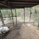 가평 아난티와 청리움 정원, 양평 중원계곡의 여름(25.06.30) 이미지